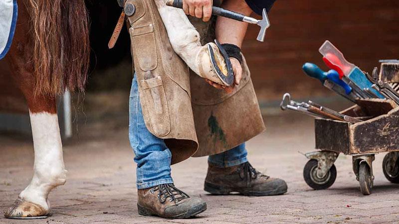 Farrier Tools