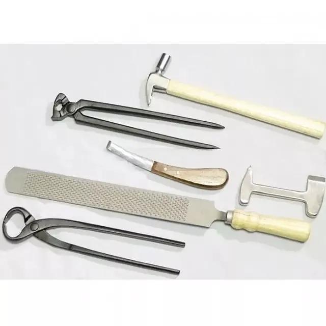 Horse Shoeing Tool Kits