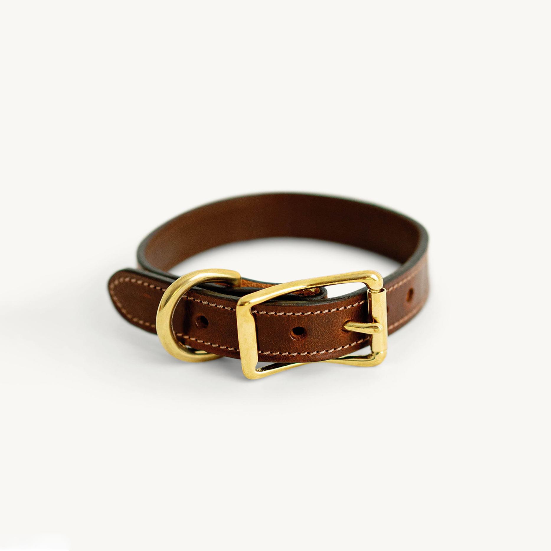 Pet Collars