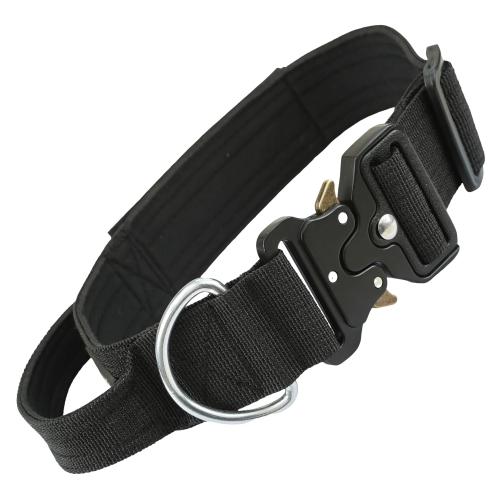 Pet Collars