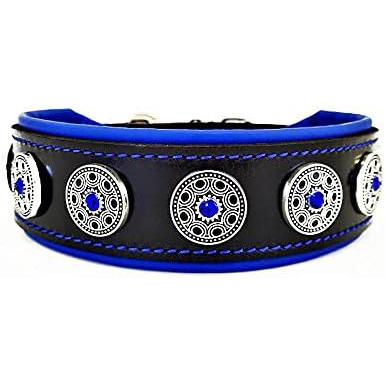 Pet Collars